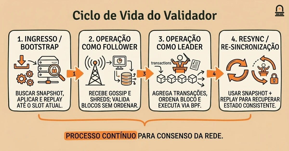 Ciclo de Vida do Validador